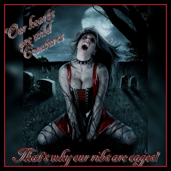 Hello Black Roses! Is Anyone Interested In Us Starting Our Share Group Up Again? - Picture 10 of 16